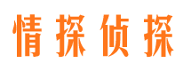 益阳市调查公司